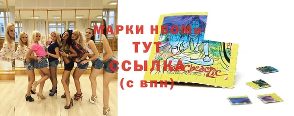 ALPHA-PVP Новозыбков