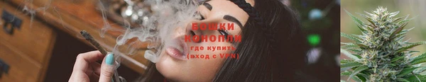 ALPHA-PVP Новозыбков