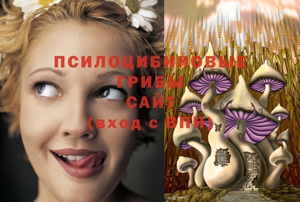 ALPHA-PVP Новозыбков